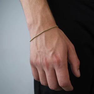 Collier armband 2mm Goud