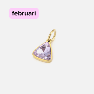 DYO Premium Birthstone goud februari