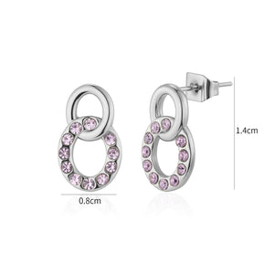 Oorstekers cirkel paarse steentjes zilver