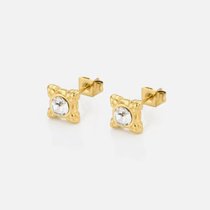 Oorstekers fancy zirkonia goud