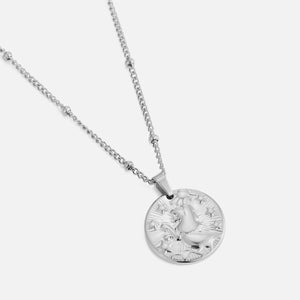 Sterrenbeeld ketting zilver