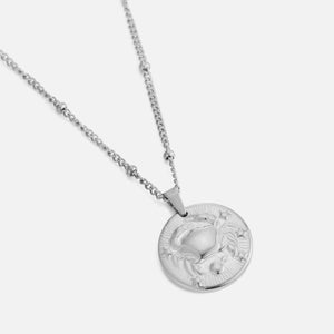 Sterrenbeeld ketting zilver